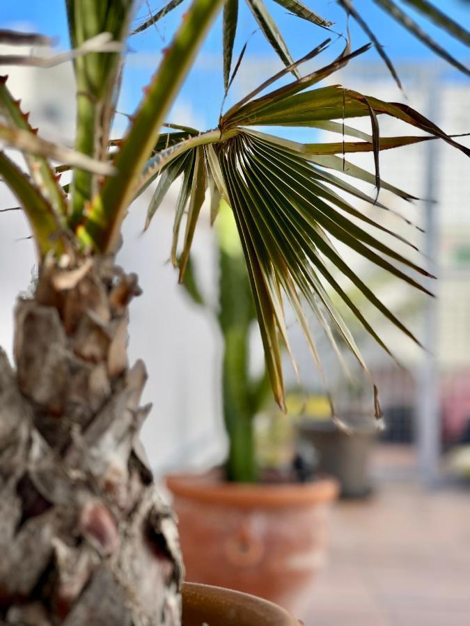 Ferienwohnung La Terraza De Porvenir 10 - Jerez De La Frontera Exterior foto
