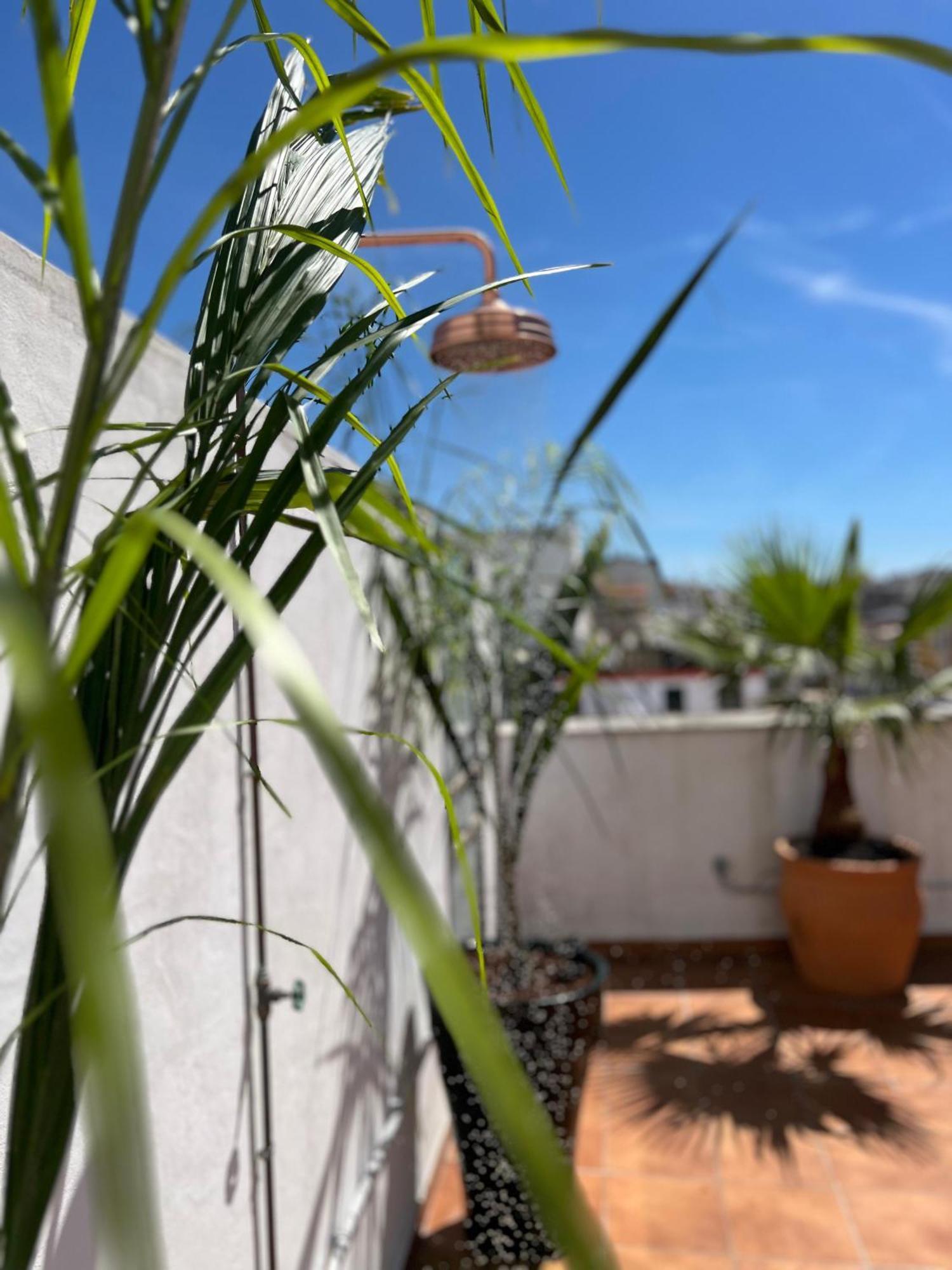 Ferienwohnung La Terraza De Porvenir 10 - Jerez De La Frontera Exterior foto